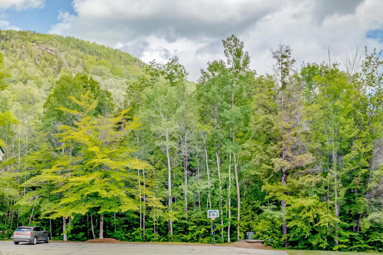 Apartment White Mountain Retreat